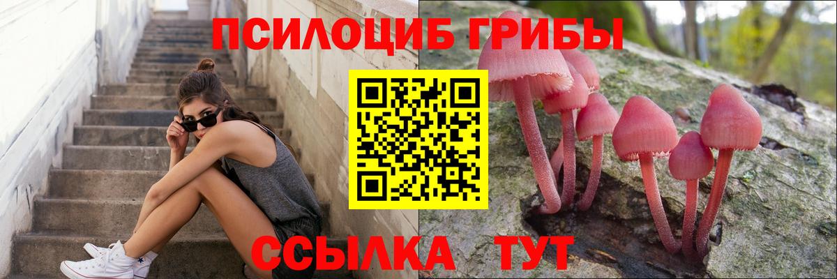 Астрахань  Галлюциногенные грибы Magic Shrooms  Вход с VPN 